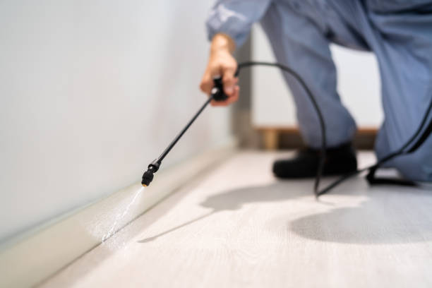 Bed Bug Pre-Treatment Preparation Assessment in Woodland Heights