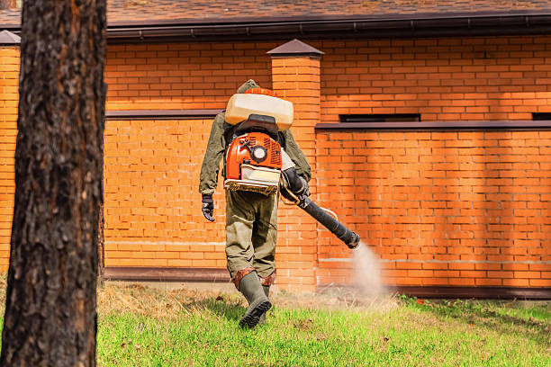 Bed Bug Clearance Verification and Documentation in Woodland Heights
